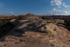 DSC_4115-1
