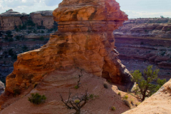 USA20080