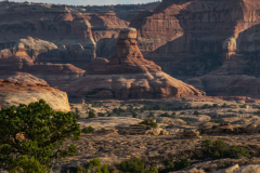 USA20126