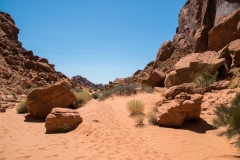 Valley-of-Fire-Wanderweg-2