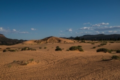 Coral-Pink-Sand-Dunes-Dünen-2