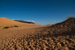 Coral-Pink-Sand-Dunes-Dünen-3