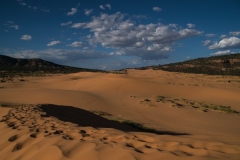Coral-Pink-Sand-Dunes-Dünen-4