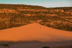 Coral-Pink-Sand-Dunes-Dünen-7