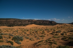 Coral-Pink-Sand-Dunes-Dünen