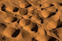 Coral-Pink-Sand-Dunes-Sand-2
