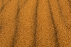 Coral-Pink-Sand-Dunes-Sand