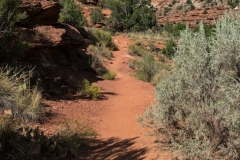 USA-2017-Lower-Calf-Creek-Falls10661