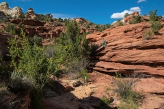 USA-2017-Lower-Calf-Creek-Falls10663