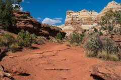 USA-2017-Lower-Calf-Creek-Falls10664