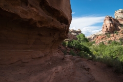 USA-2017-Lower-Calf-Creek-Falls10667