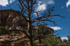 USA-2017-Lower-Calf-Creek-Falls10674