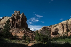 USA-2017-Lower-Calf-Creek-Falls10684