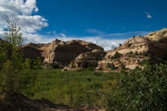 USA-2017-Lower-Calf-Creek-Falls10693