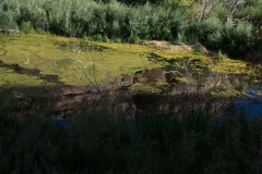 USA-2017-Lower-Calf-Creek-Falls10717