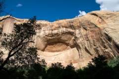 USA-2017-Lower-Calf-Creek-Falls10728