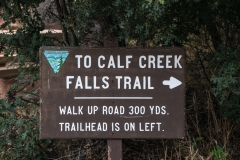 USA-2017-Lower-Calf-Creek-Falls10777