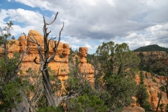 Red-Canyon-Beitragsbild-59