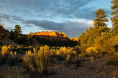 Red-Canyon-Landchaft-21