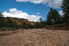 Red-Canyon-Landschaft-1