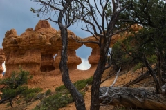 Red-Canyon-Landschaft-10