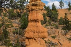 Red-Canyon-Landschaft-11