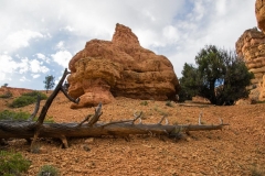 Red-Canyon-Landschaft-13
