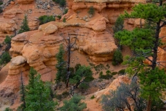Red-Canyon-Landschaft-15
