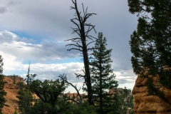 Red-Canyon-Landschaft-17
