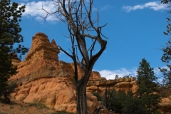 Red-Canyon-Landschaft-2
