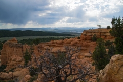 Red-Canyon-Landschaft-3