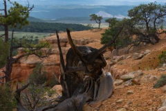 Red-Canyon-Landschaft-7