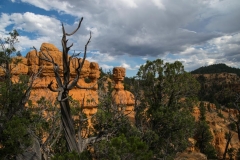 Red-Canyon-Landschaft-8