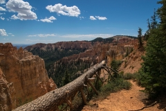 USA-2017-Bryce-Canyon10346