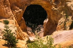 USA-2017-Bryce-Canyon10372