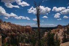 USA-2017-Bryce-Canyon10375
