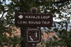 USA-2017-Navajoo-Loop10394