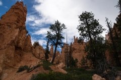 USA-2017-Navajoo-Loop10428