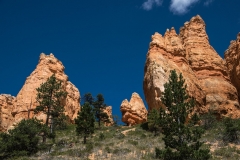 USA-2017-Navajoo-Loop10461