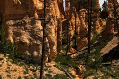 USA-2017-Navajoo-Loop10469