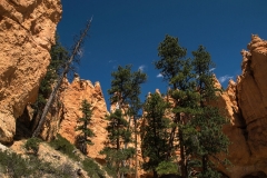 USA-2017-Navajoo-Loop10473