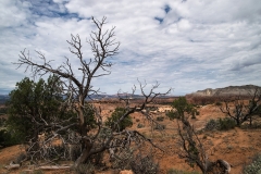 USA-2017-Kodachrome-Basin10557