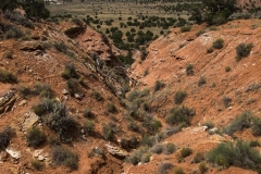 USA-2017-Kodachrome-Basin10563