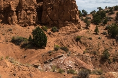 USA-2017-Kodachrome-Basin10581