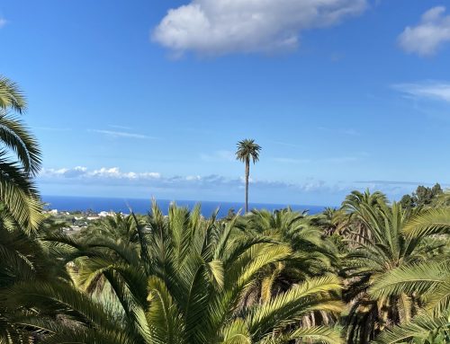 Ferienwohnung auf Gran Canaria zu vermieten