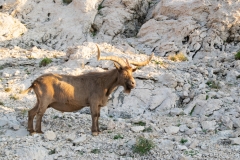 Kroatien-2019-23