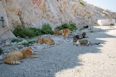 Kroatien_Insel-Pag-1-10