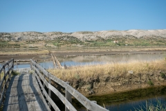Kroatien_Insel-Pag-1-3