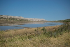 Kroatien_Insel-Pag-1-4