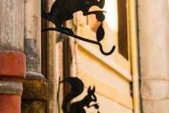 Autun-Eichhoernchen